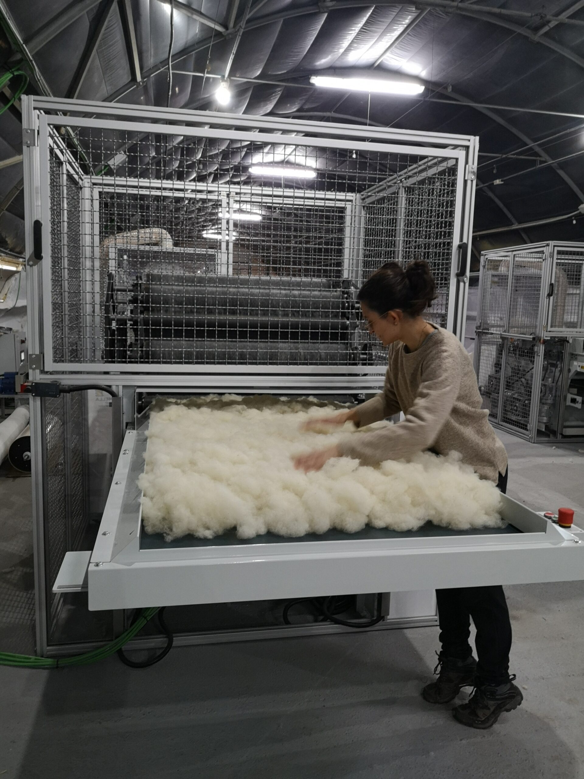 cardadorar-fabrica-lanificio-dlana-ovintegral